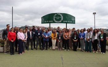 Image / illustration