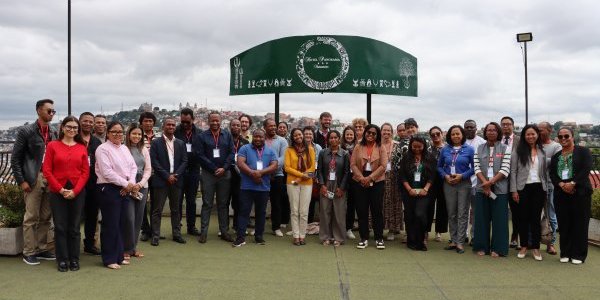 Image / illustration